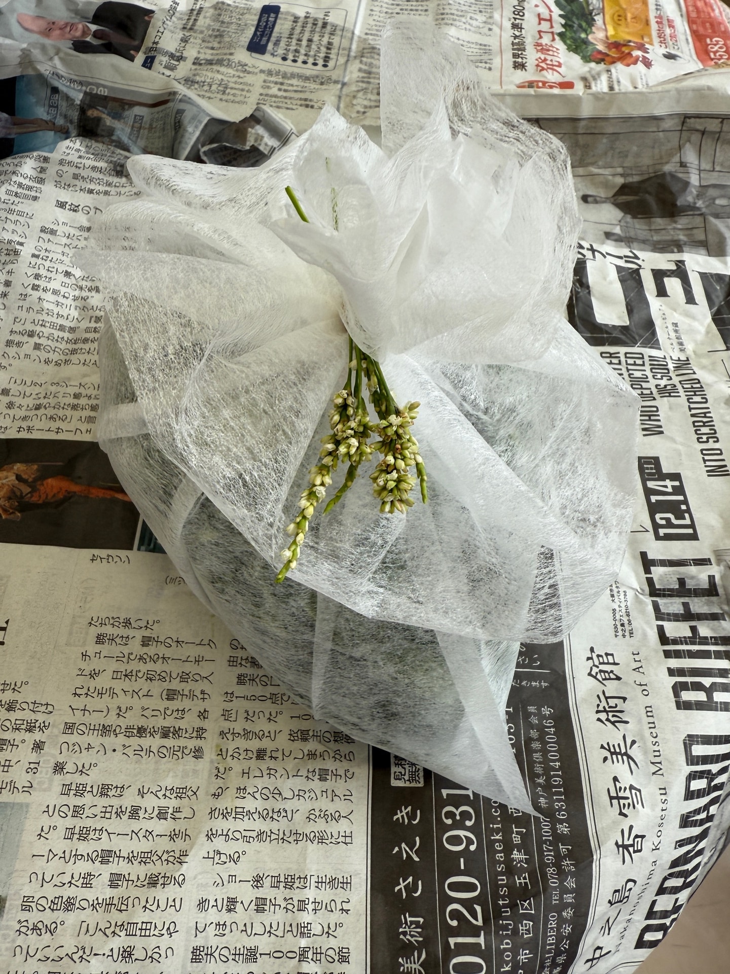 京都女子大学附属小学校～草木染め～