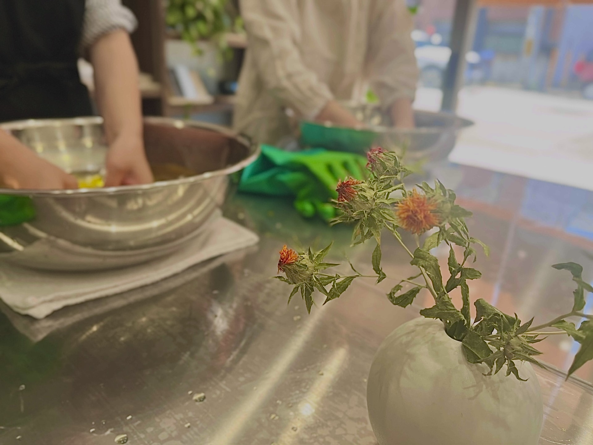 2月15日（日）/22日（日）植色ワークショップ【紅花】