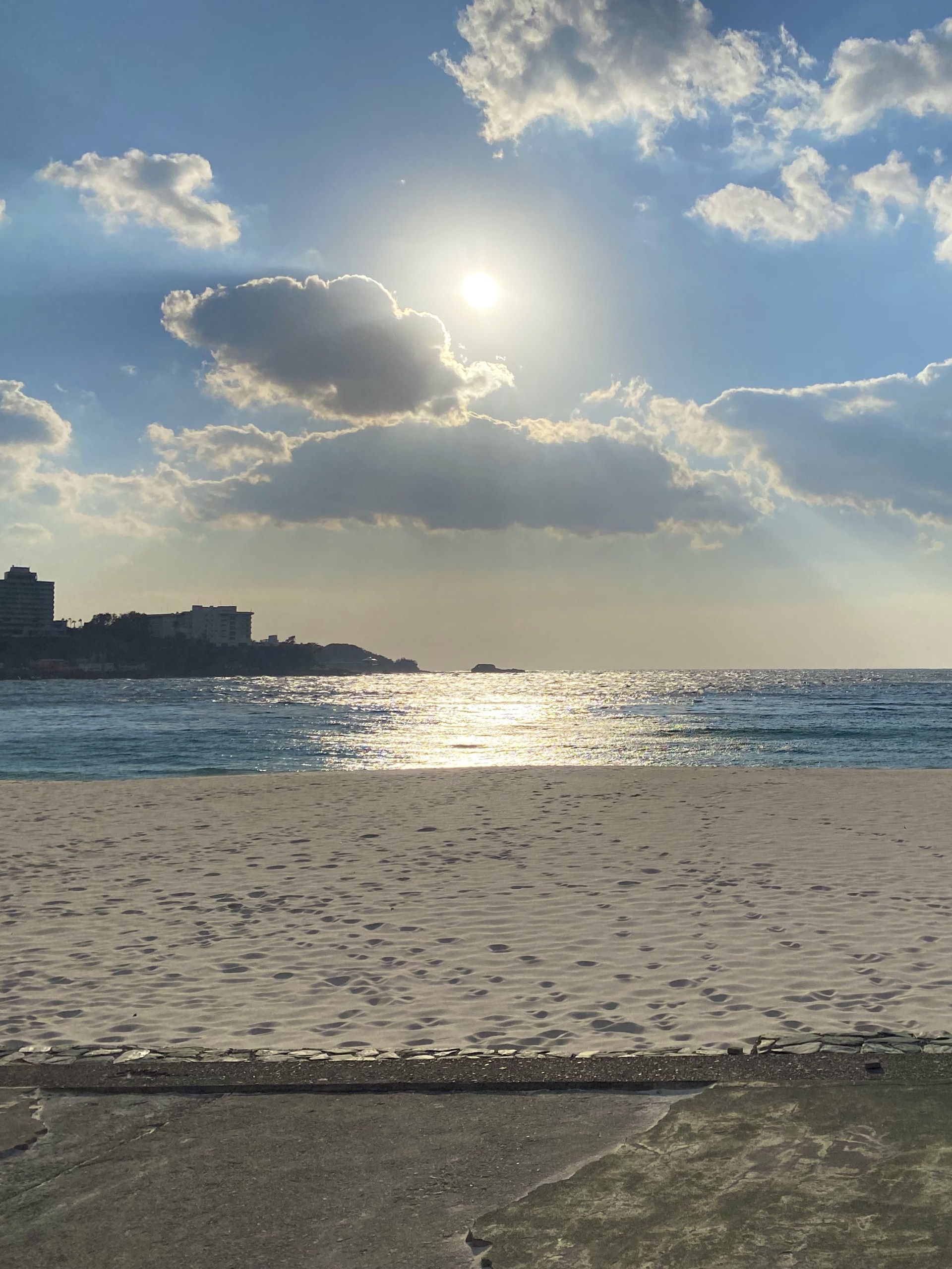 1月17日（土）/18日（日）新春植色ワークショップ【梅】