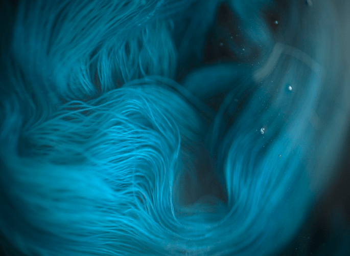top-blue top-blue